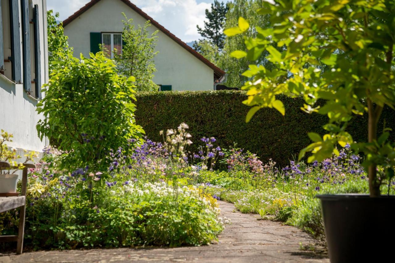 Landhauswohnung Mit Wildromantischem Garten 福森 外观 照片
