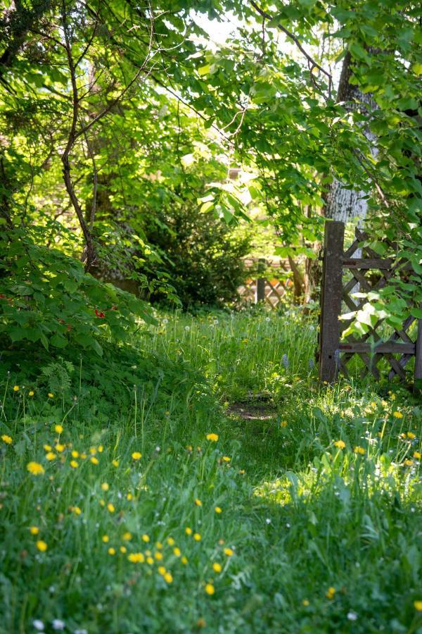 Landhauswohnung Mit Wildromantischem Garten 福森 外观 照片